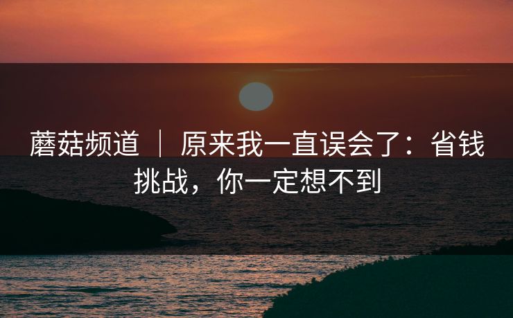 蘑菇频道 | 原来我一直误会了:省钱挑战,你一定想不到